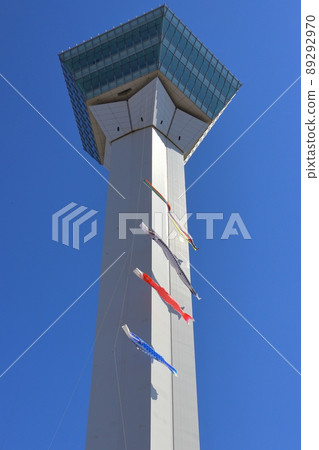 Hakodate Goryokaku Tower and carp streamer 89292970
