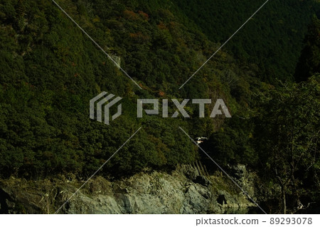 秋季高山本線上阿蘇至白河口的 Kiha 85 系列特快廣角折疊 89293078