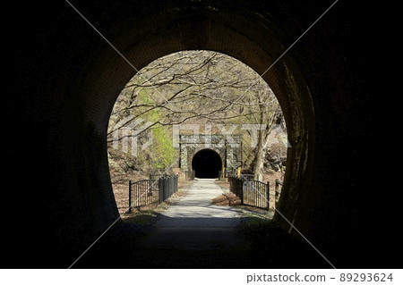 舊信越線廢線所在地臼井峠橫川附近的Apt Road隧道 舊信越線廢線所在地臼井峠橫川附近的Apt Road隧道 89293624