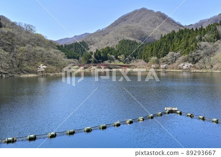 群馬縣安中市臼井湖 89293667