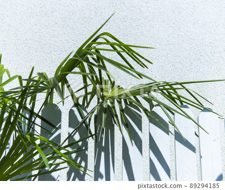 White fence and plants 89294185