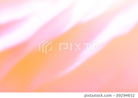 Pink-orange background, gentle lines, botanical style Pink-orange background, gentle lines, botanical style 89294652