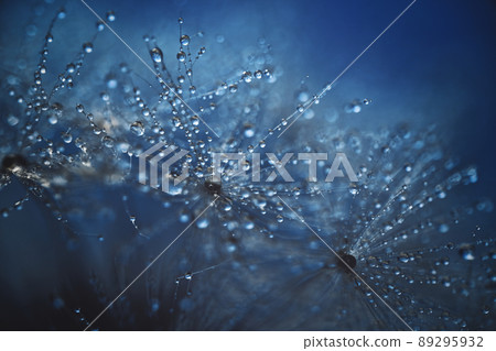 Polka dots on fluff and blue background Polka dots on fluff and blue background 89295932