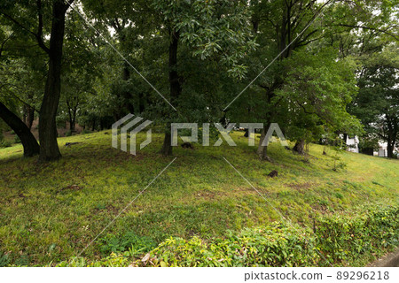Otorizuka Tumulus Otorizuka Tumulus 89296218