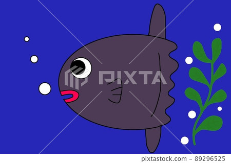 Sunfish Sunfish 89296525