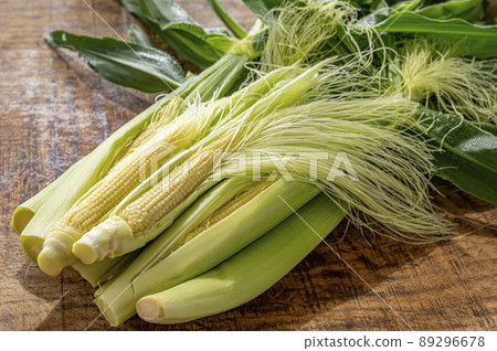 嬰兒錐年輕玉米 89296678