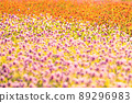 graphic material 89296983
