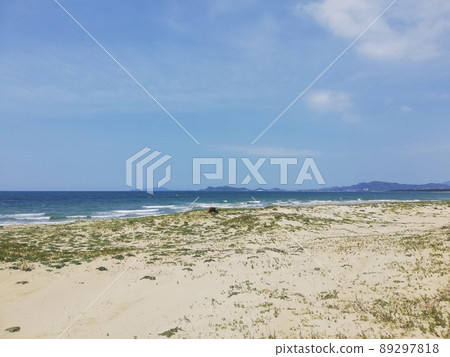 Sea Sea 89297818