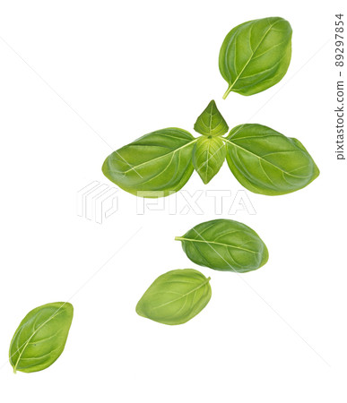 Basil leaves 89297854