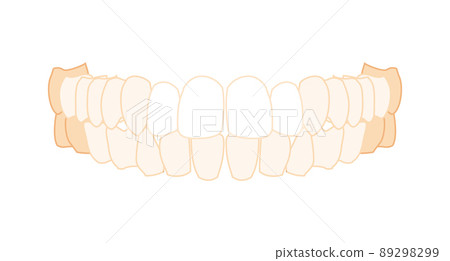 Teeth row Denture Set Closeup Human front anterior ventral view. Jaws model with teeth. Set of chump realistic flat Teeth row Denture Set Closeup Human front anterior ventral view. Jaws model with teeth. Set of chump realistic flat 89298299