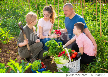 Happy family discussing crop of vegetables in garden 89298433