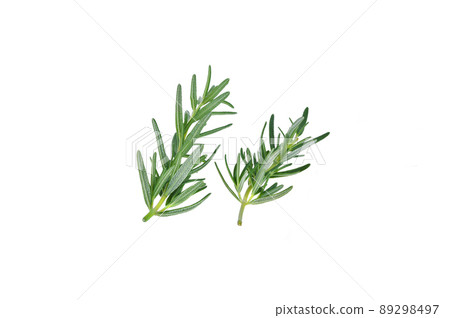 Fresh green rosemary isolated on a white background. 89298497