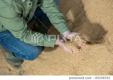 Hands of farmer holding handful of soybean husk Hands of farmer holding handful of soybean husk 89298592