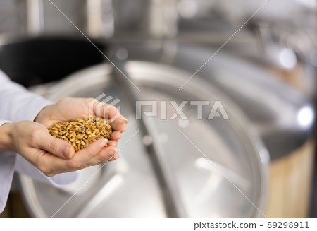 Hands of brewmaster holding bunch of malt seeds Hands of brewmaster holding bunch of malt seeds 89298911