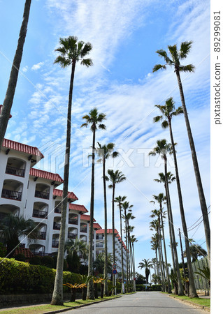 Riviera Zushi Marina 就像一個熱帶國家 89299081