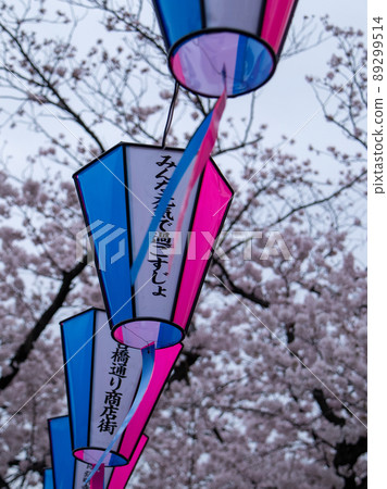 Sakura scenery of Ooka River 89299514