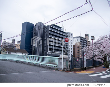 Sakura scenery of Ooka River 89299540