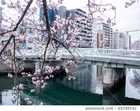 大岡川的櫻花景色 大岡川的櫻花景色 89299542