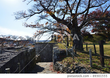 I went to the site of Komine Castle # 53 I went to the site of Komine Castle # 53 89301555