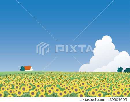 北海道的Himawari農場 北海道的Himawari農場 89301605