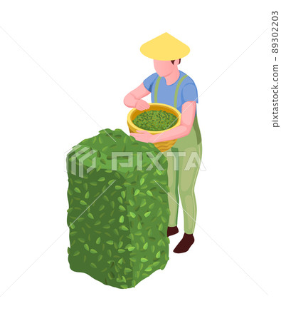 Plucking Tea Icon 89302203