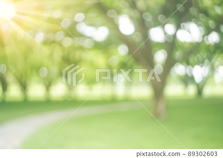 Blur nature green park with bokeh sun light abstract background. Copy space of travel nature adventure and environment ecology concept. Vintage tone filter effect color style. 89302603