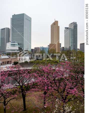 Yokohama Scarlet Sakura in front of the Landmark Tower and Yokohama City Hall Yokohama Scarlet Sakura in front of the Landmark Tower and Yokohama City Hall 89303136