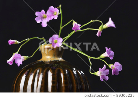 clover flower in vase clover flower in vase 89303223