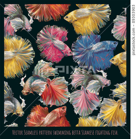 Vector Seamless pattern swimming Siamese fighting fish. 89303903
