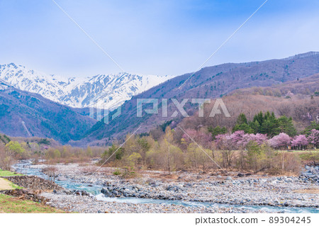 (Nagano Prefecture) Matsukawa, Northern Alps view of Hakuba village where cherry blossoms bloomed 89304245