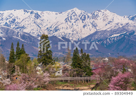 (Nagano Prefecture) Oide Park with cherry blossoms, view of the Northern Alps 89304949