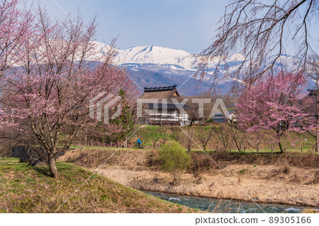 (Nagano Prefecture) View of Hakuba Village, Oide Park, and the Northern Alps where cherry blossoms bloom 89305166