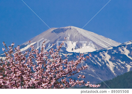 殘雪雪兔子的福島縣吾妻小藤雪形 89305508