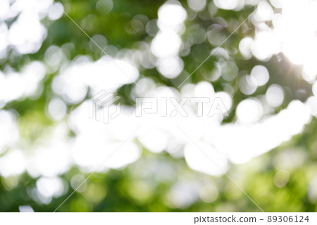 球散景，陽光，閃光圖像 89306124