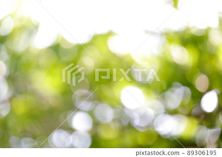 球散景,陽光,閃光圖像 球散景,陽光,閃光圖像 89306195