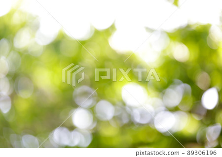 球散景，陽光，閃光圖像 89306196