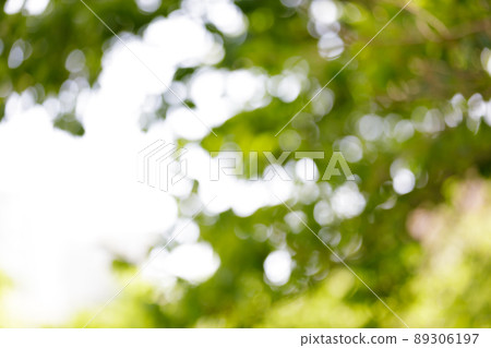 球散景,陽光,閃光圖像 球散景,陽光,閃光圖像 89306197