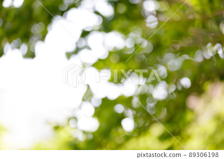 Ball bokeh, sunbeams, glitter image Ball bokeh, sunbeams, glitter image 89306198