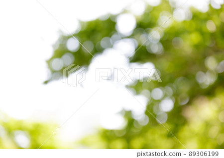 Ball bokeh, sunbeams, glitter image Ball bokeh, sunbeams, glitter image 89306199