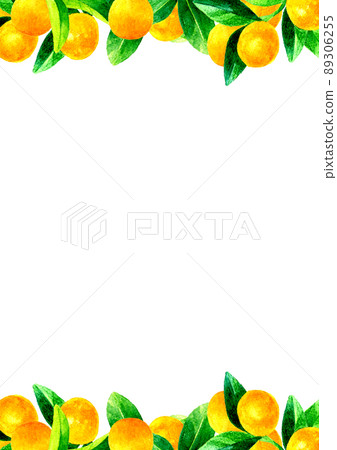 Kumquat tree background material A4 size fruit / fruit hand-painted watercolor illustration material 89306255