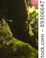 Moss 89306647