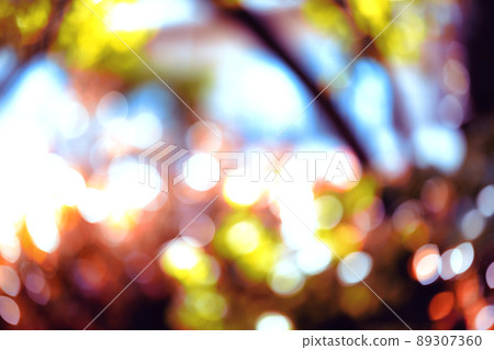 球散景閃光圖像 89307360