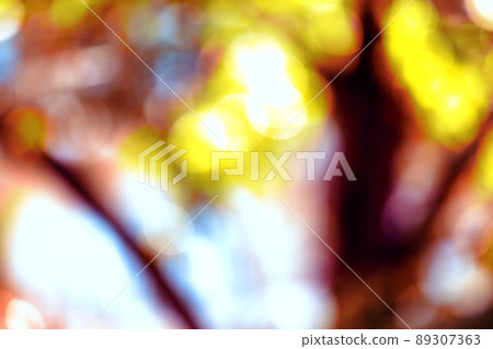 球散景閃光圖像 89307363