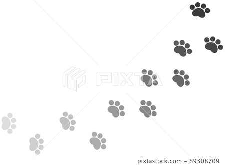 Paw illustration of evidence of animals walking Paw illustration of evidence of animals walking 89308709