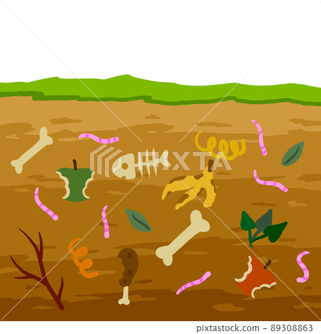 Compost soil. Layer of earth in section with worms. Farming and food waste. Ecological humus. 89308863