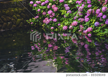 200720 Gokoku Shrine nk1010 89309049