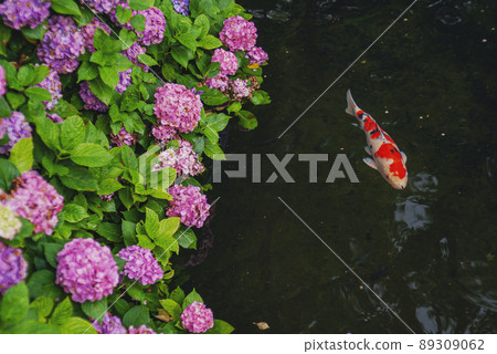 200720 Gokoku Shrine nk002 89309062