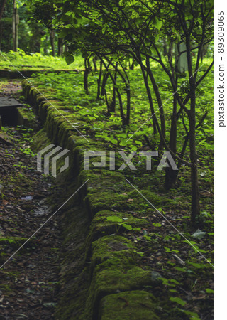 200720 Shiroyama nk005 200720 Shiroyama nk005 89309065