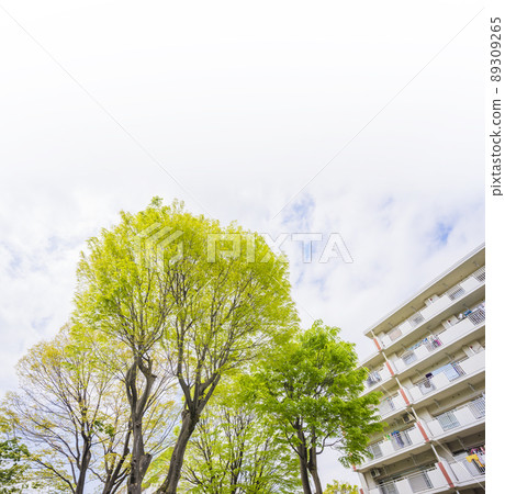 新鮮的綠色形象樹和綠色公寓綠葉房地產業務 89309265