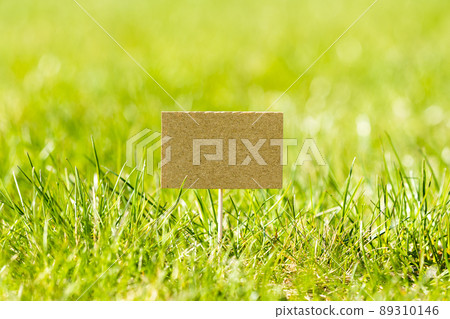 Blank mini paper pointer in a green grass Blank mini paper pointer in a green grass 89310146